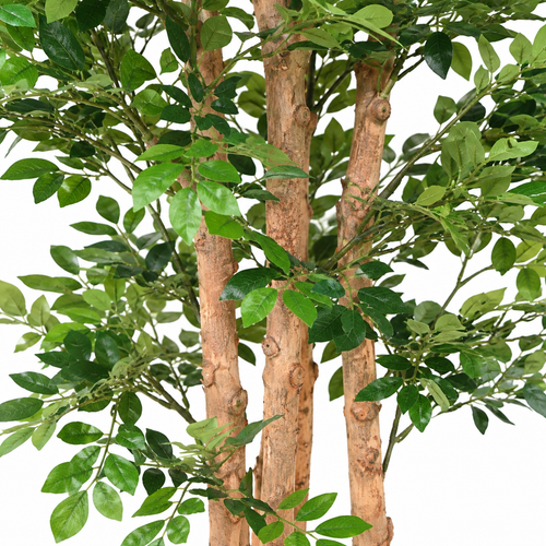 Acacia Artificiel Signature 200 cm | Belle Verdure