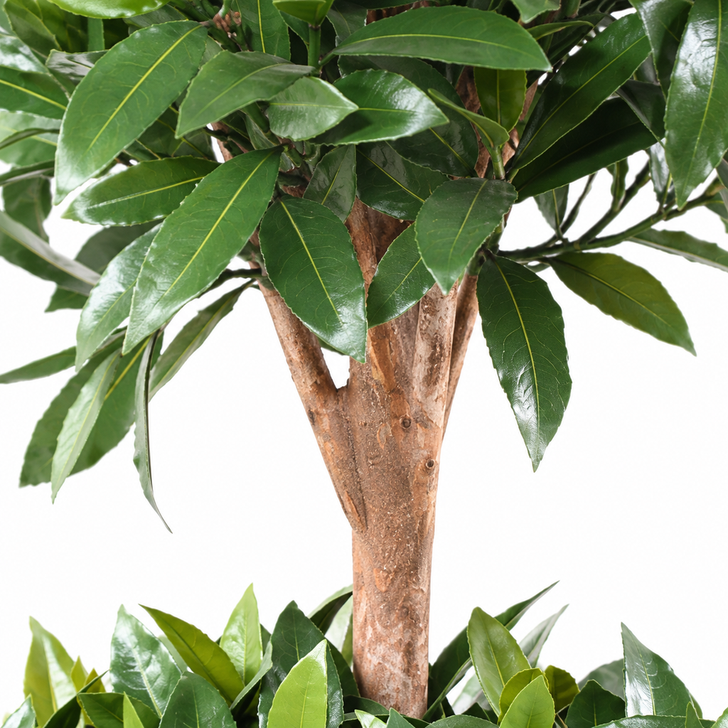 Laurier Nobilis Artificiel Double Boule Anti-UV 140 cm | Belle Verdure
