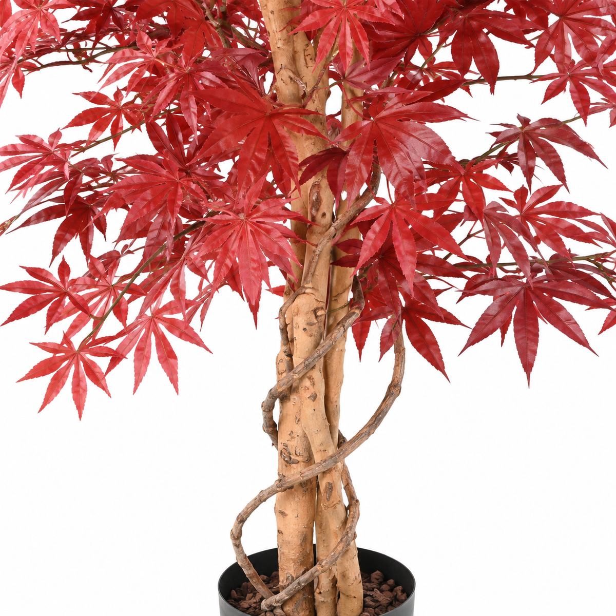 Aralia Artificiel Élégance Rouge 160 cm | Belle Verdure