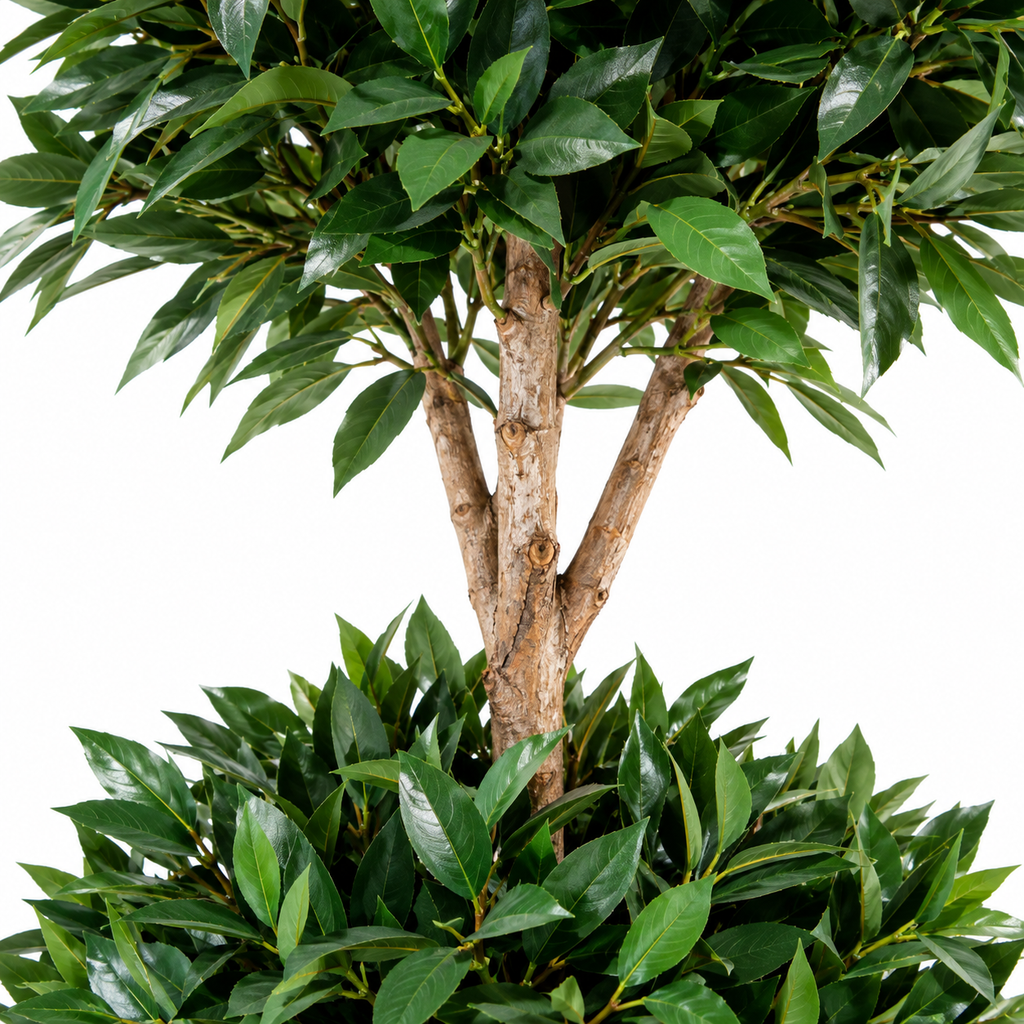 Laurier Artificiel Prestige 165 cm | Belle Verdure
