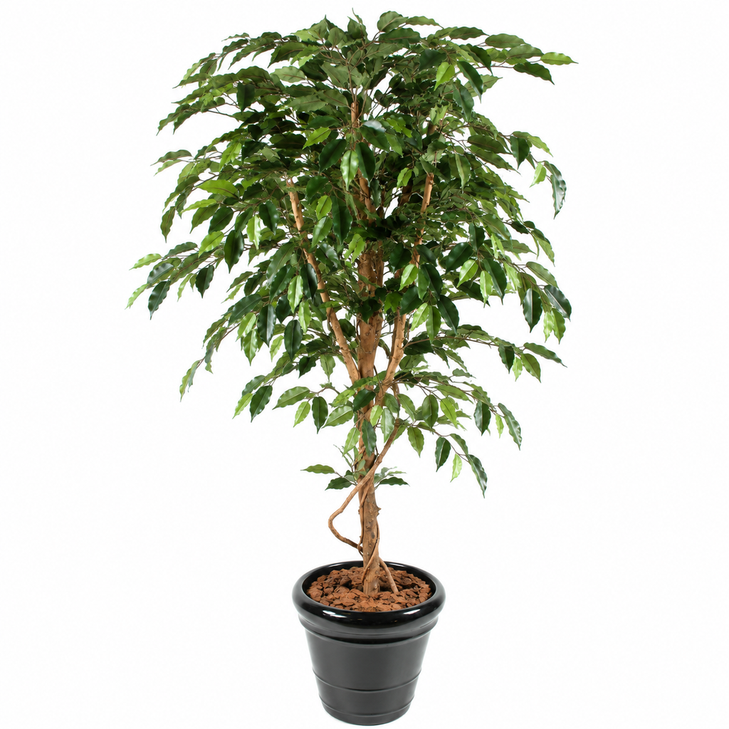 Ficus Artificiel Authentique 180 cm | Belle Verdure