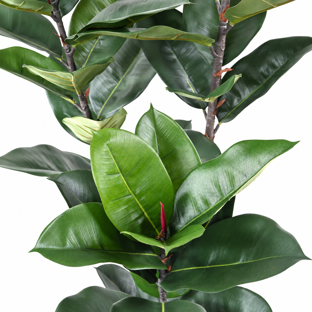 Ficus Artificiel Majesté 170 cm | Belle Verdure