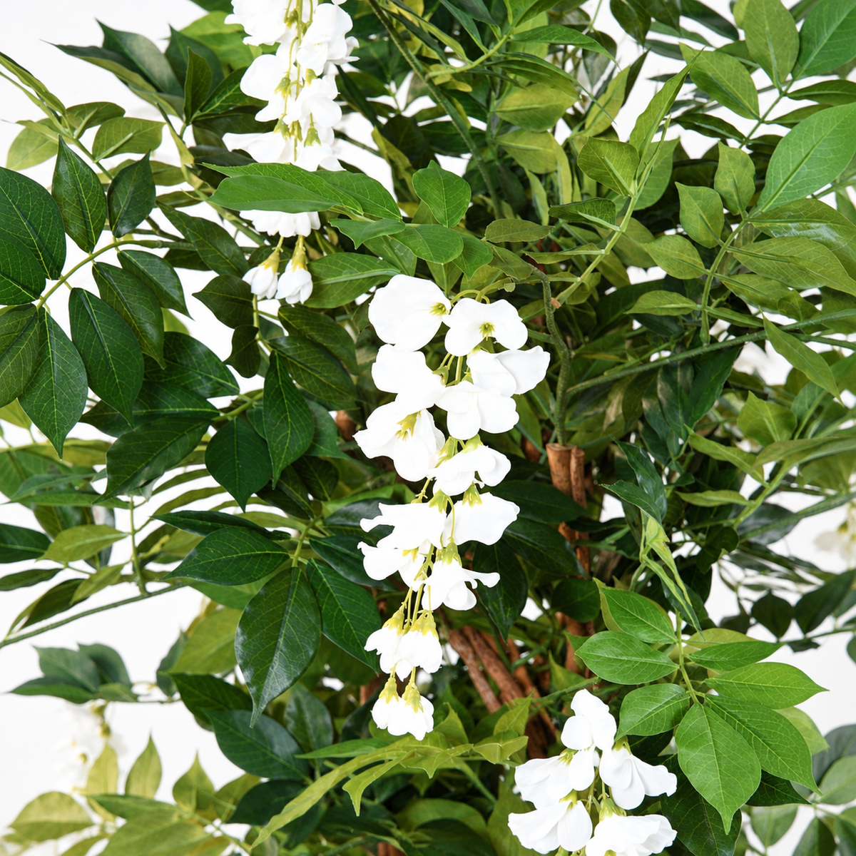 Glycine Artificielle Blanc 145 cm | Belle Verdure