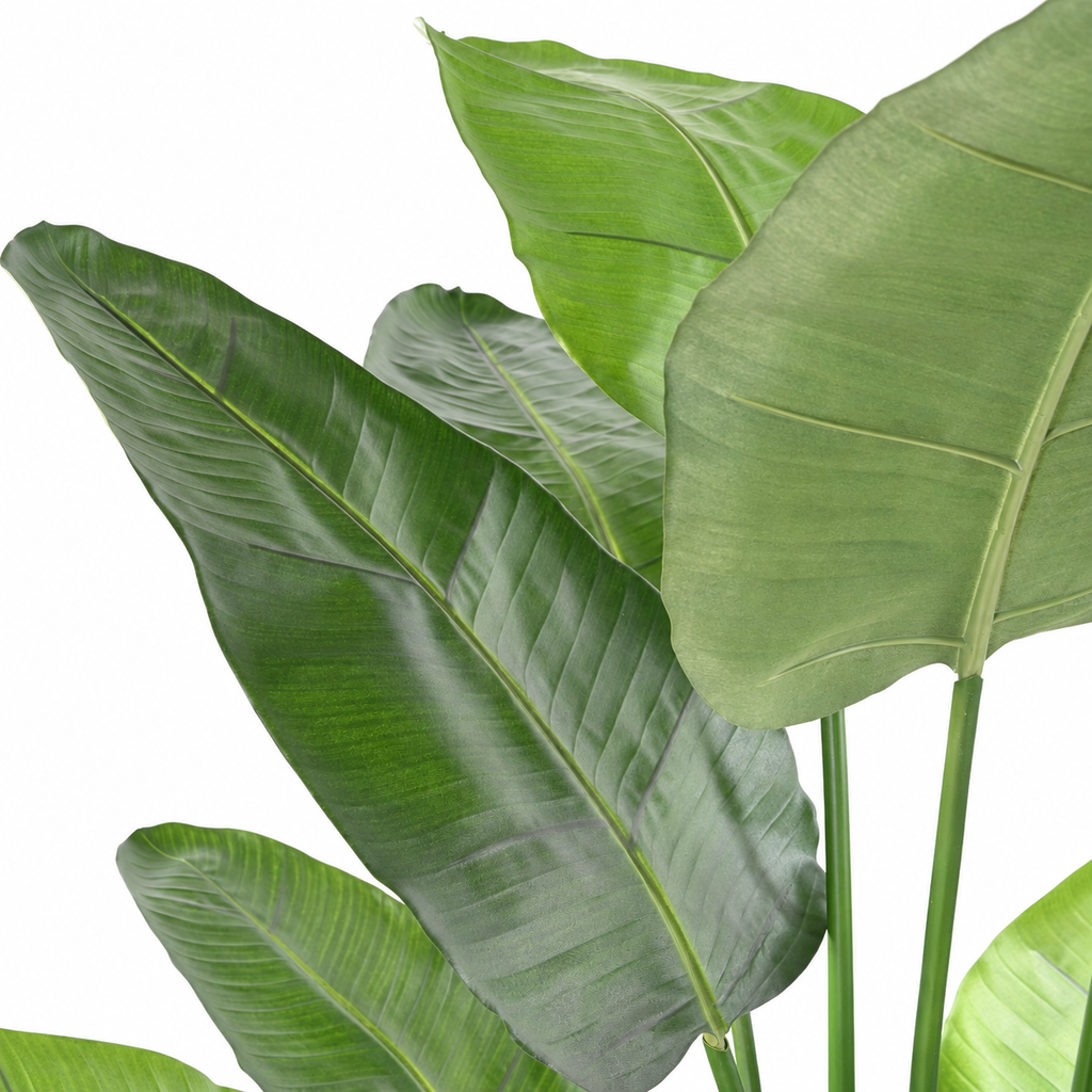 Bananier Artificiel Strelitzia Nicolai 220 cm | Belle Verdure