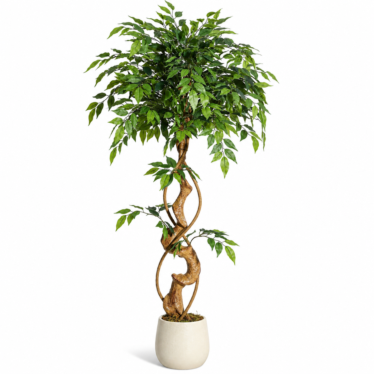 Ficus Tressé Artificiel
