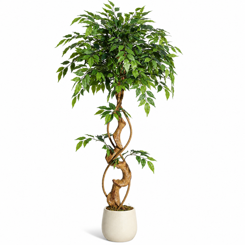 Ficus Tressé Artificiel