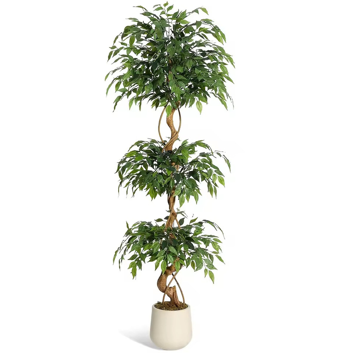 Ficus Tressé Artificiel
