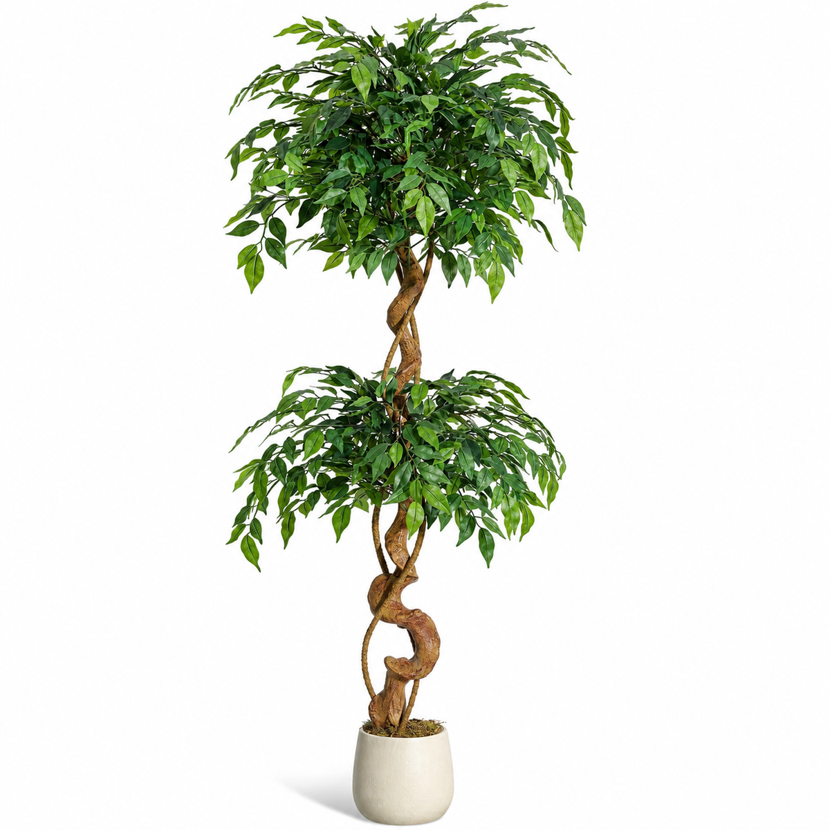 Ficus Tressé Artificiel