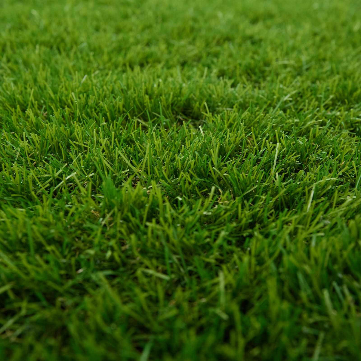 Gazon Synthétique Vert 50 mm