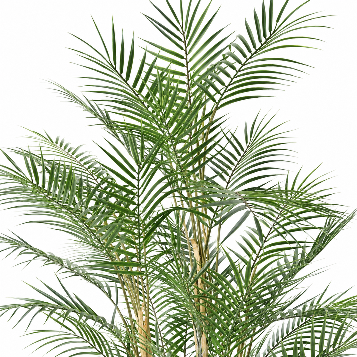 Palmier Artificiel Areca Dif 185 cm | Belle Verdure