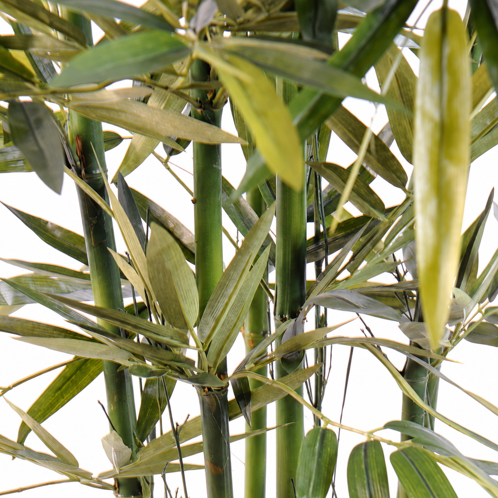 Bambou Artificiel Sora 210 cm | Belle Verdure