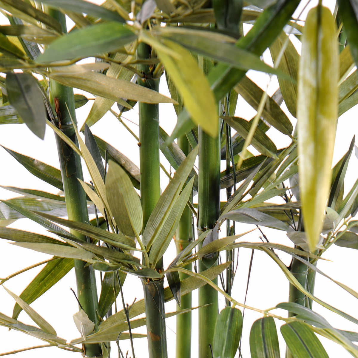 Bambou Artificiel Sora 210 cm | Belle Verdure
