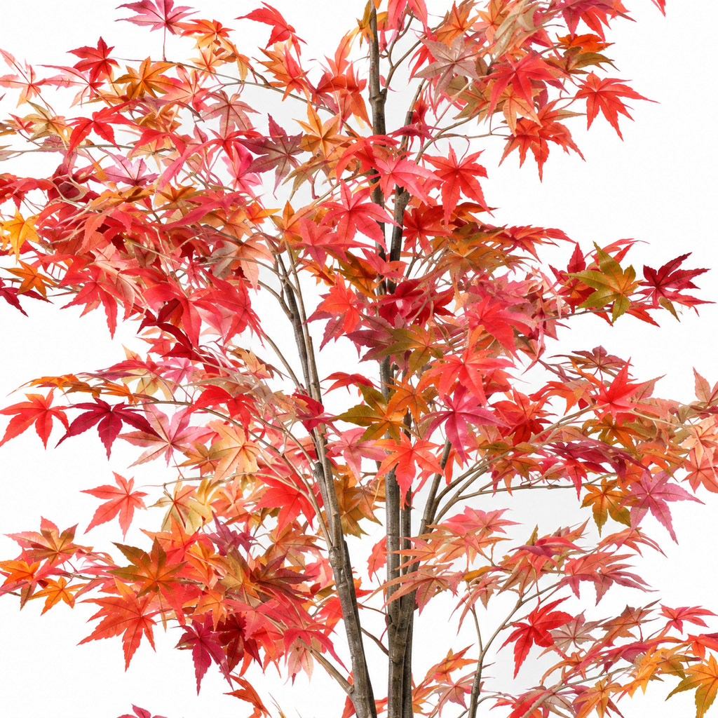 Aralia Artificiel Signature Automne 175 cm | Belle Verdure