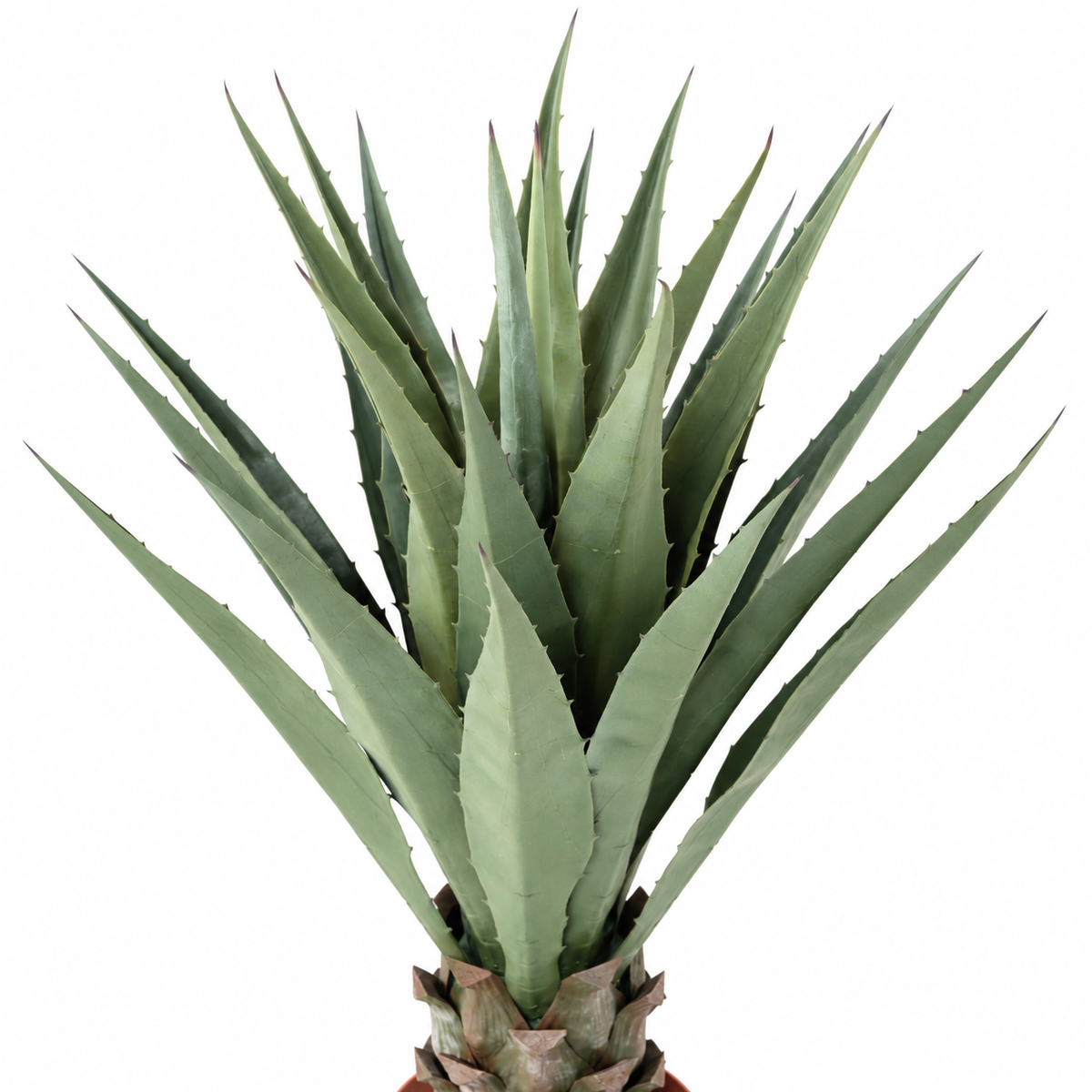 Plante artificielle Agave Vert 85 cm | Belle Verdure