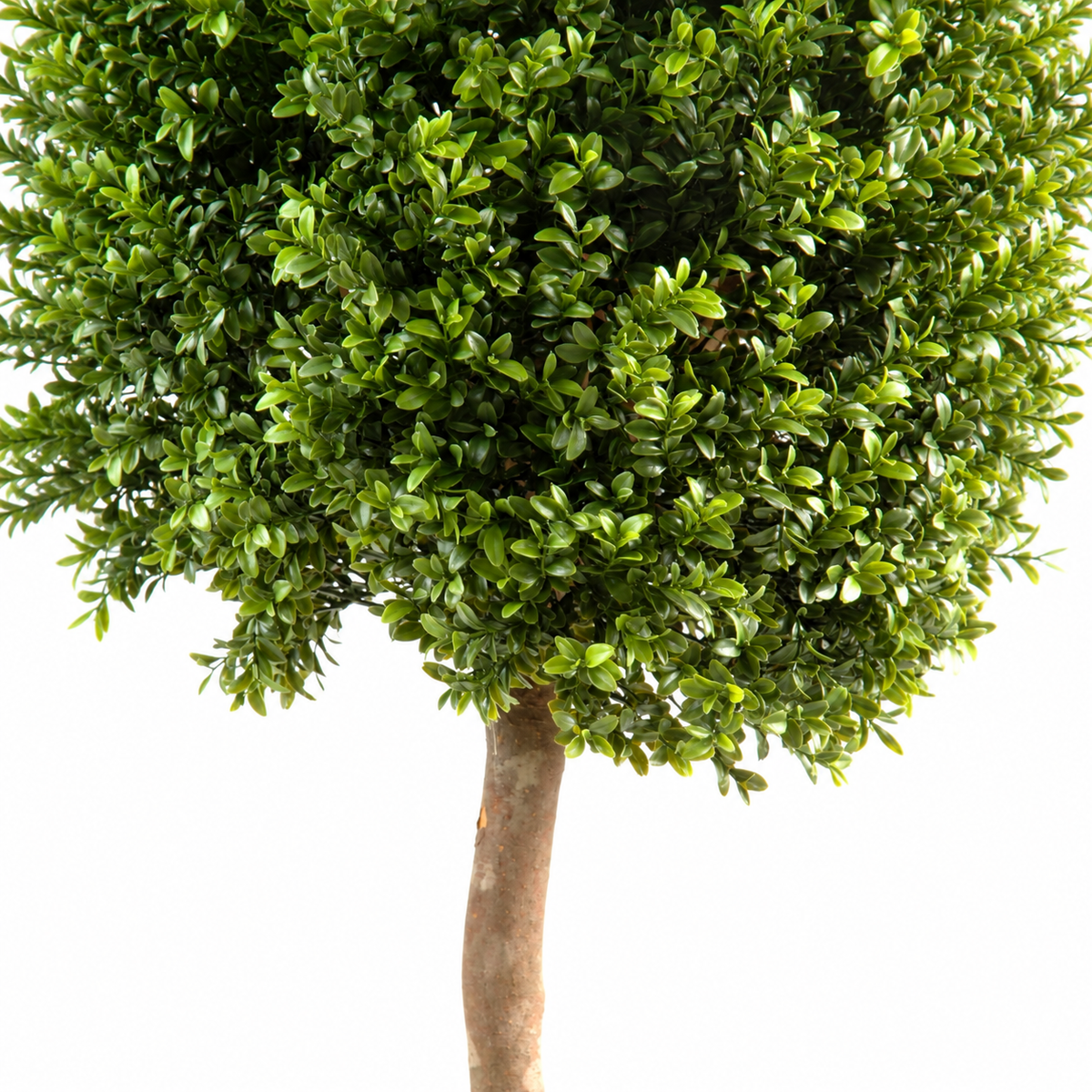 Buis Artificiel Tige Boule 140 cm | Belle Verdure