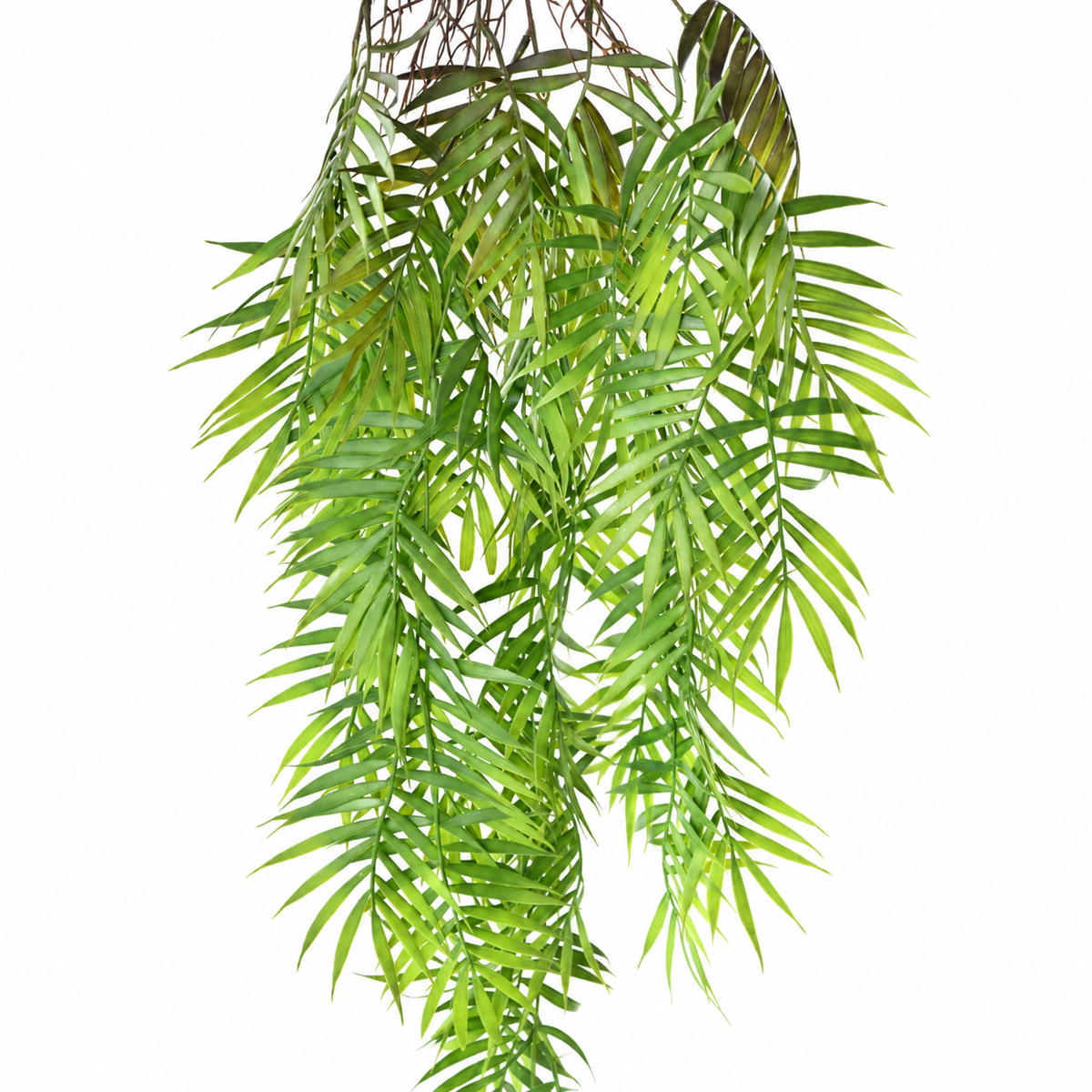 Chamaedorea Artificiel Retombant 87 cm | Belle Verdure