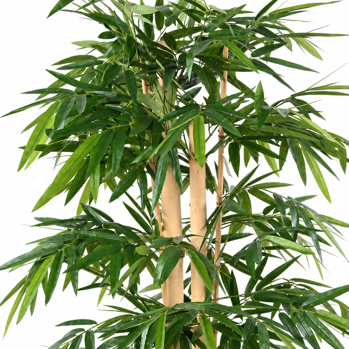 Bambou Artificiel Natura 210 cm | Belle Verdure