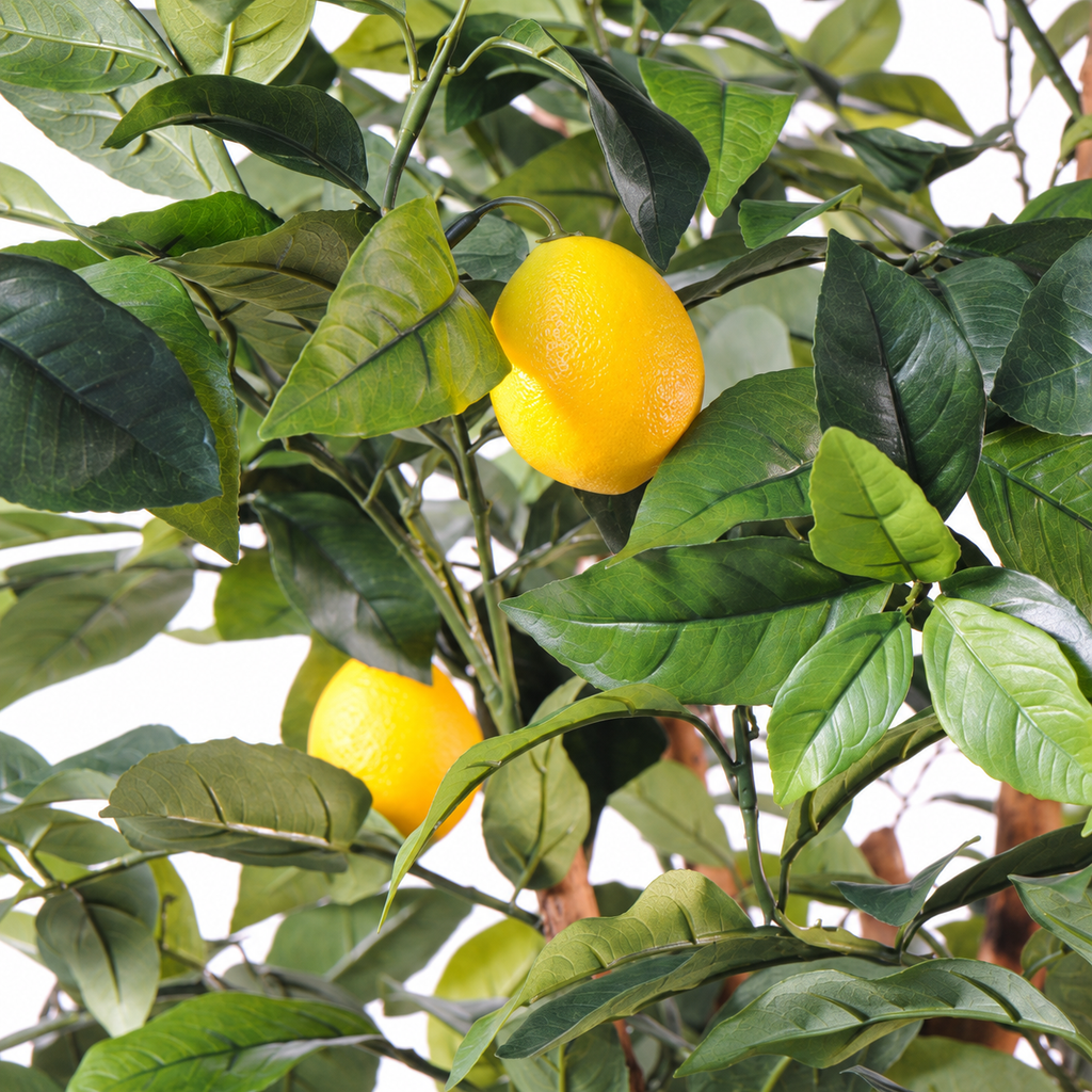 Citronnier Artificiel 150 cm | Belle Verdure