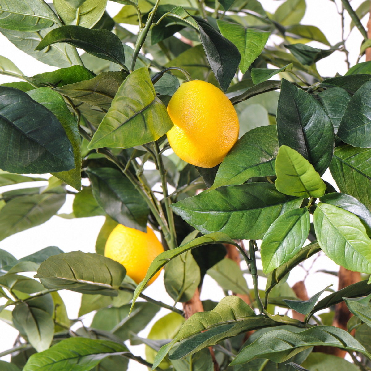 Citronnier Artificiel 150 cm | Belle Verdure