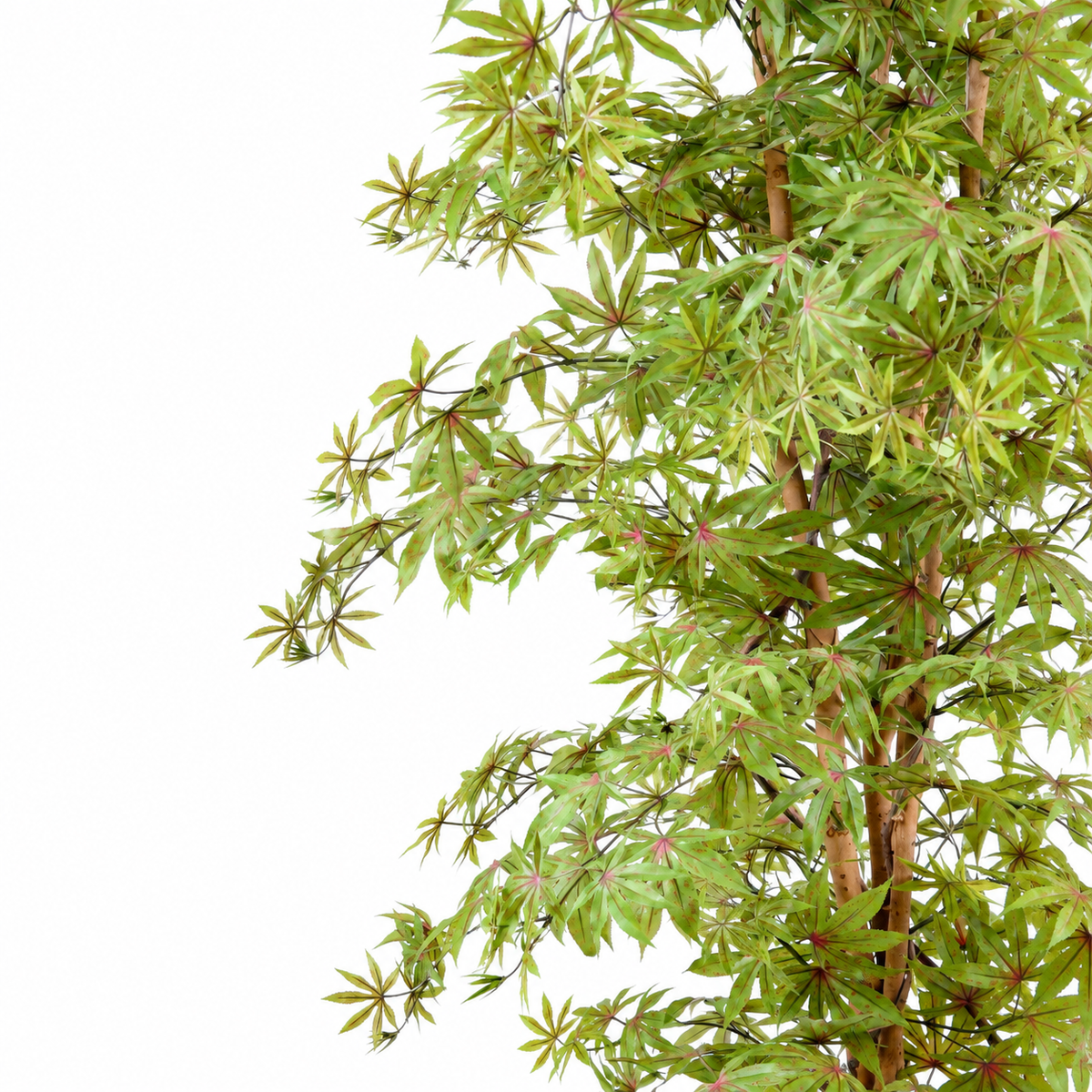 Aralia Artificiel Zen 180 cm | Belle Verdure