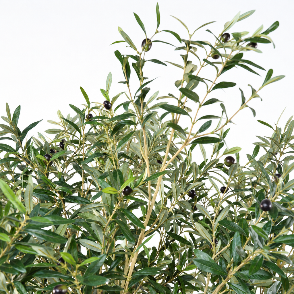 Olivier Artificiel Large Signature 215 cm | Belle Verdure