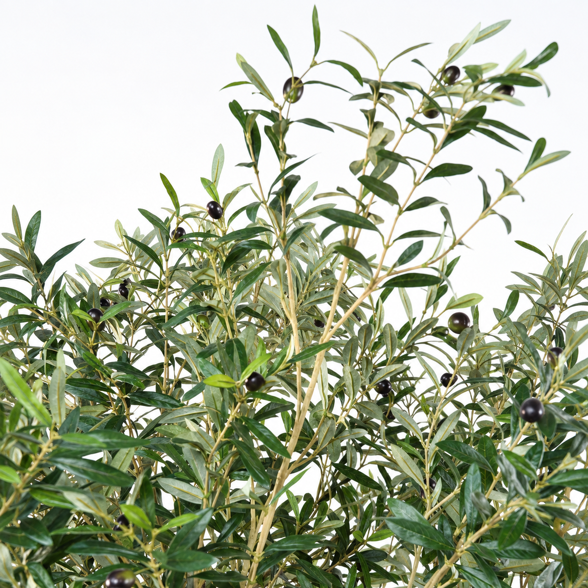 Olivier Artificiel Large Signature 215 cm | Belle Verdure