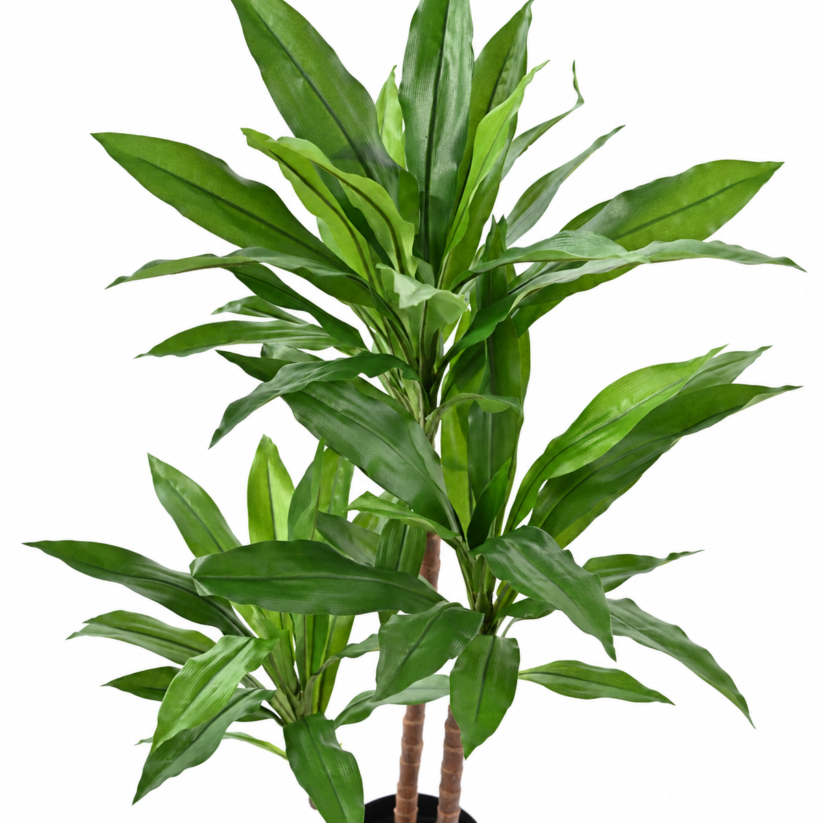 Dracaena Fragrans Artificiel Signature 95 cm | Belle Verdure