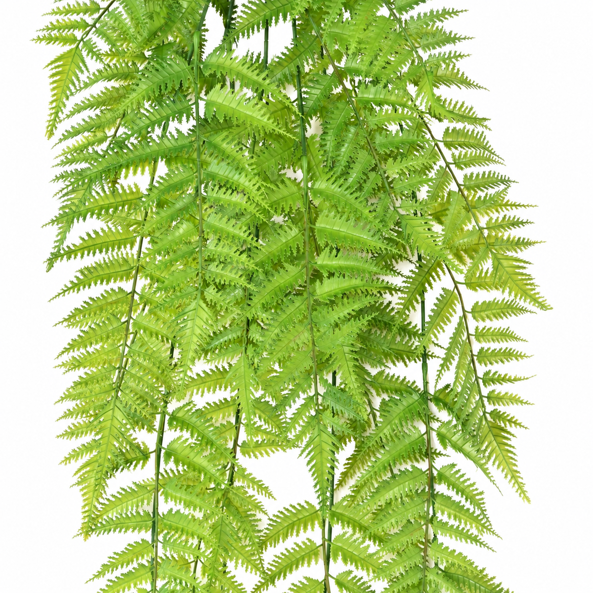 Fougère Dentelle Artificielle Retombante 120 cm | Belle Verdure