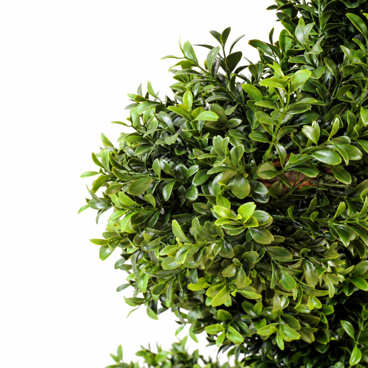 Buis Artificiel Spirale Élégance 130 cm | Belle Verdure