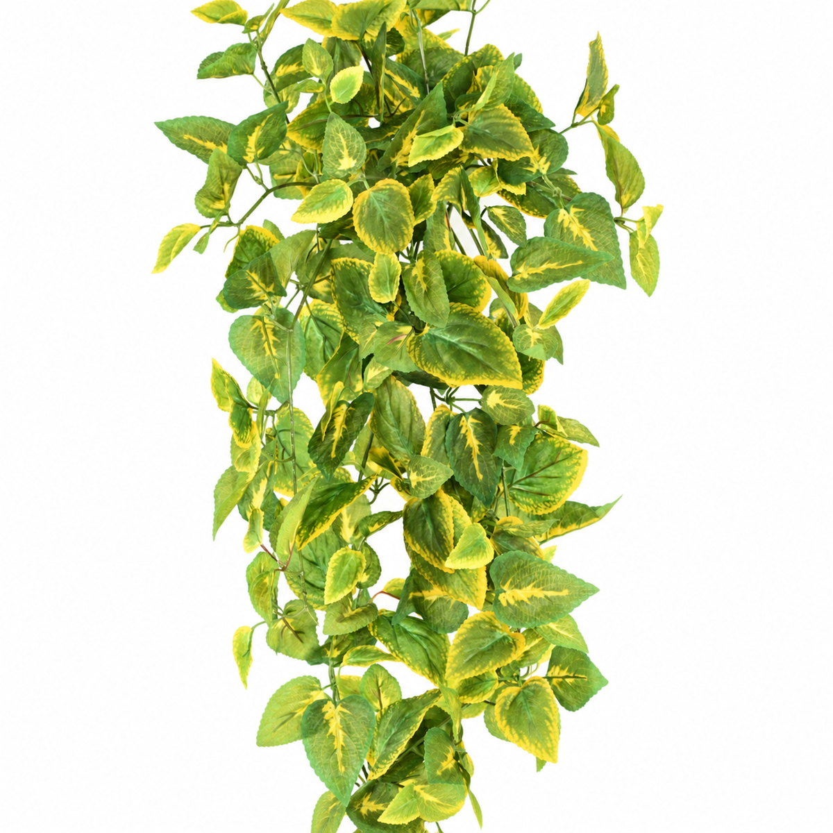 Coléus Artificiel Retombant Vert et Jaune 75 cm | Belle Verdure