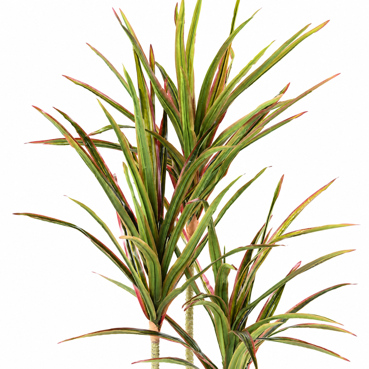 Dracaena Artificiel 140 cm | Belle Verdure