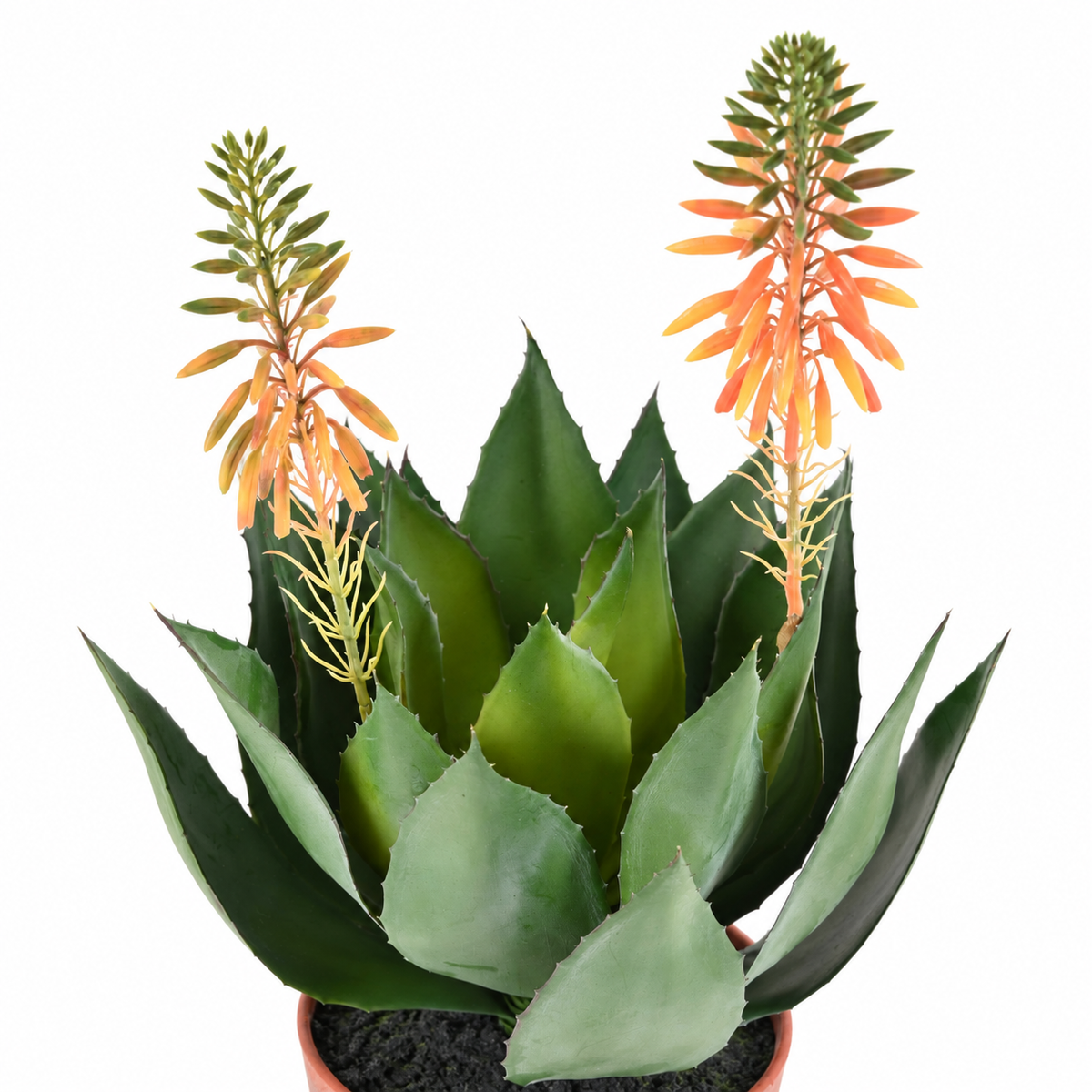 Plante artificielle Agave Fleuri 50 cm | Belle Verdure