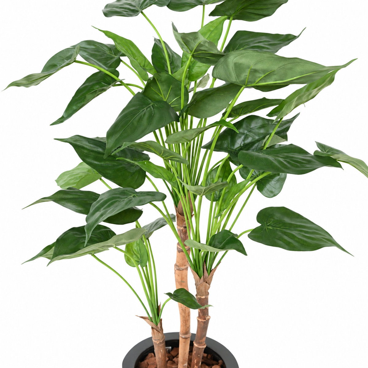 Alocasia Cucullata Artificiel 110 cm | Belle Verdure