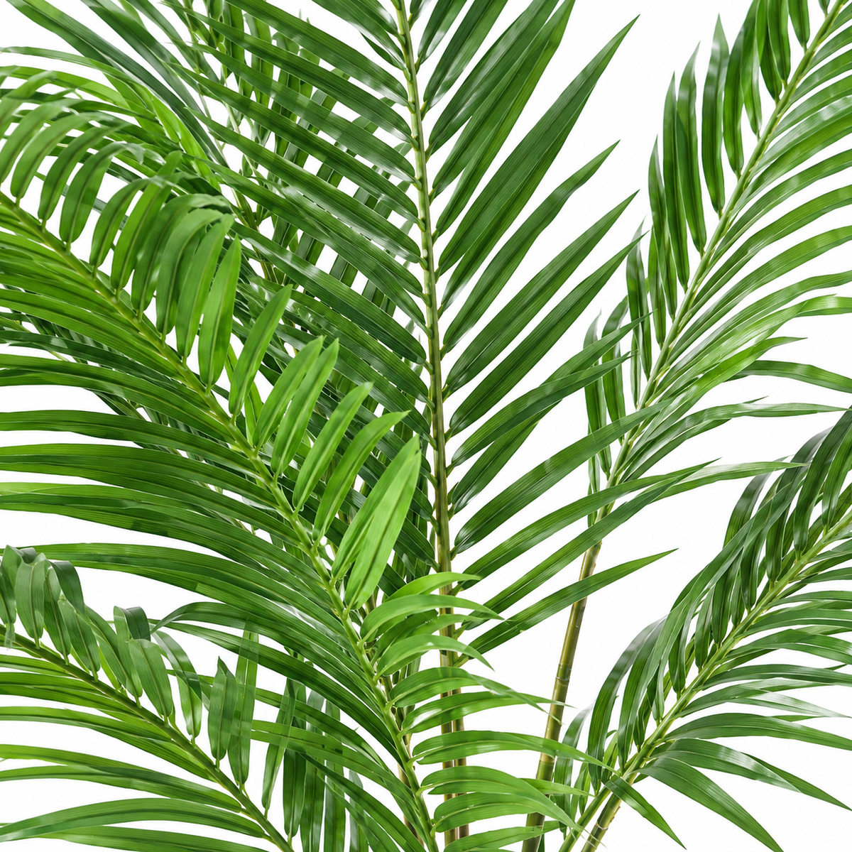 Palmier Artificiel Areca 160 cm | Belle Verdure