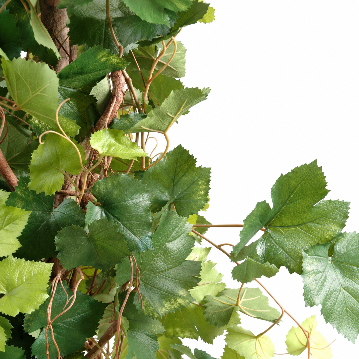 Vigne Artificielle 140 cm | Belle Verdure