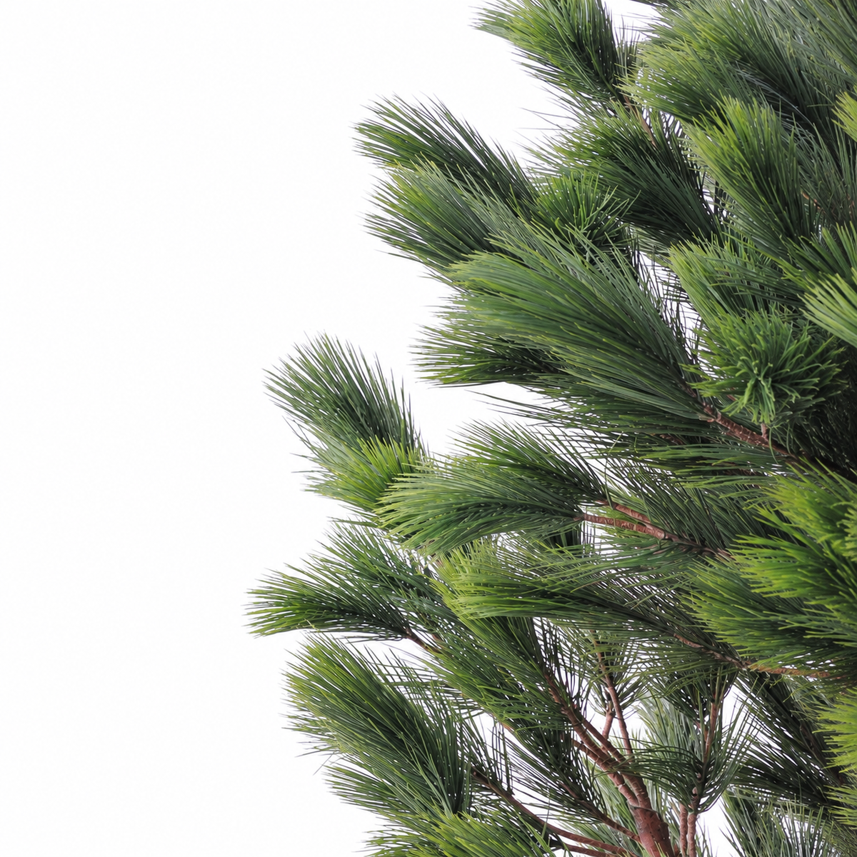 Pin Artificiel Majesté 210 cm | Belle Verdure