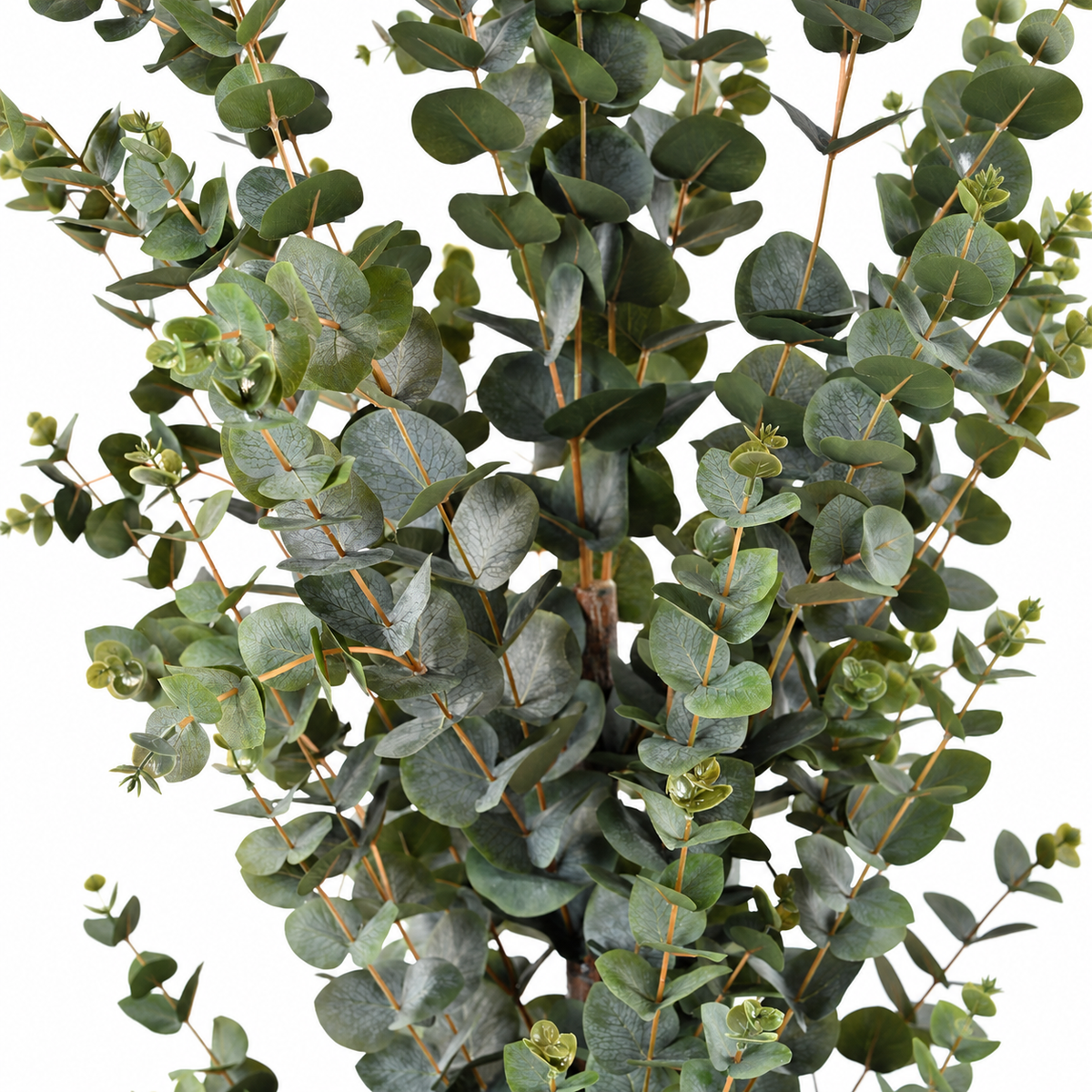 Eucalyptus Artificiel Provence 155 cm | Belle Verdure