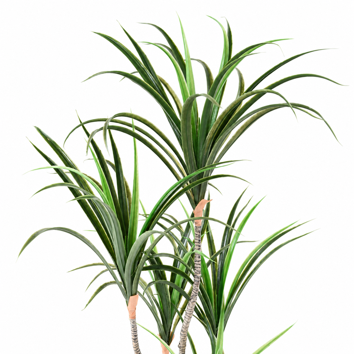 Dracaena Marginata Artificiel 125 cm | Belle Verdure