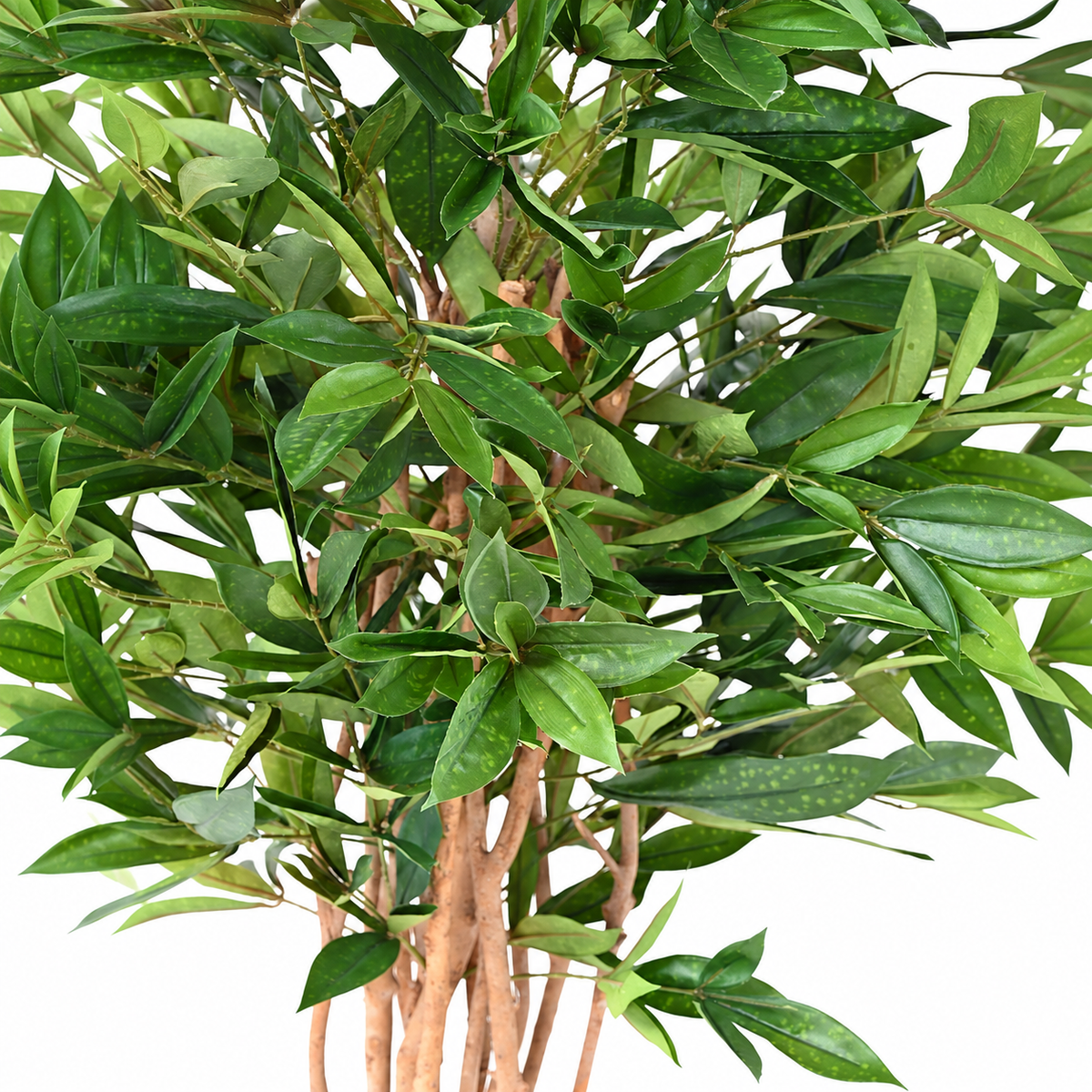 Dracaena Surculosa Artificiel 155 cm | Belle Verdure