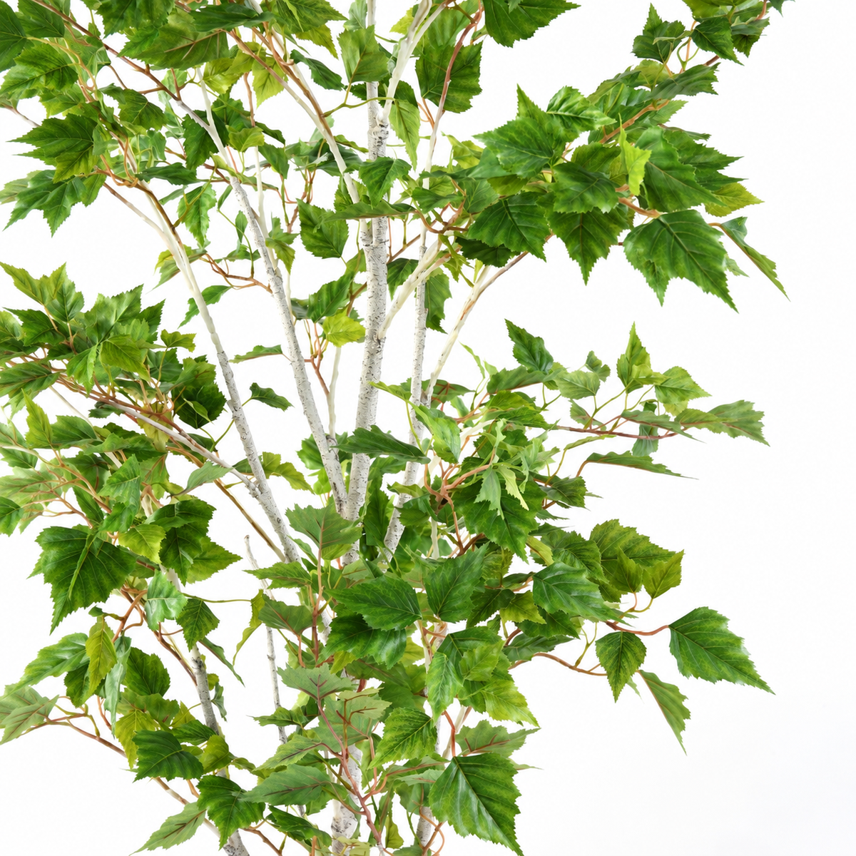 Bouleau Artificiel Classique 180 cm | Belle Verdure