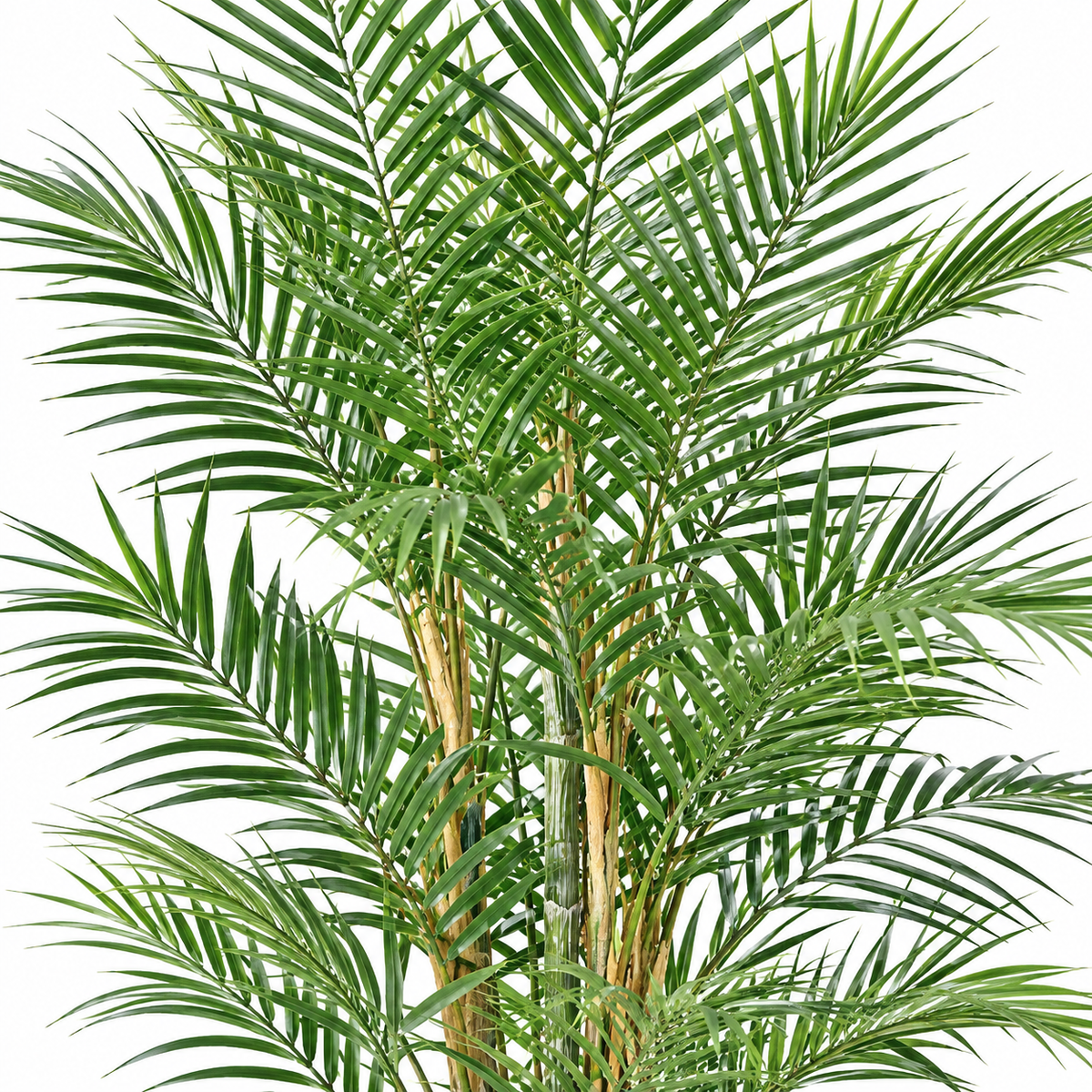 Palmier Artificiel Areca Dif 140 cm | Belle Verdure