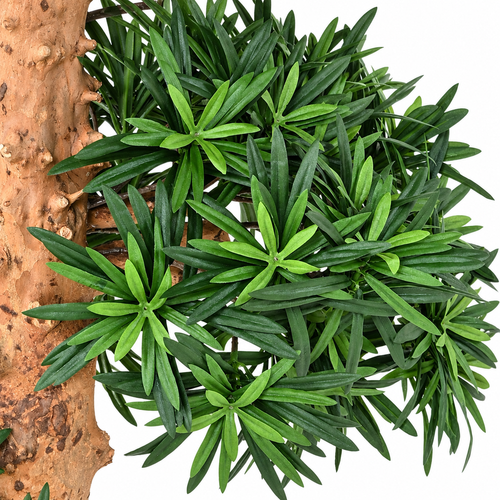 Bonsaï Podocarpus Artificiel Élégance 150 cm | Belle Verdure