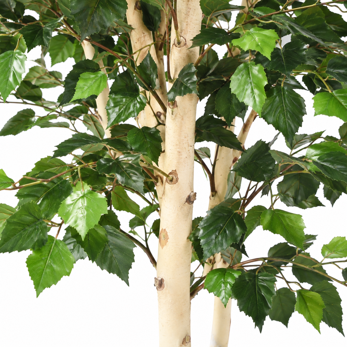 Bouleau Artificiel Signature 210 cm | Belle Verdure