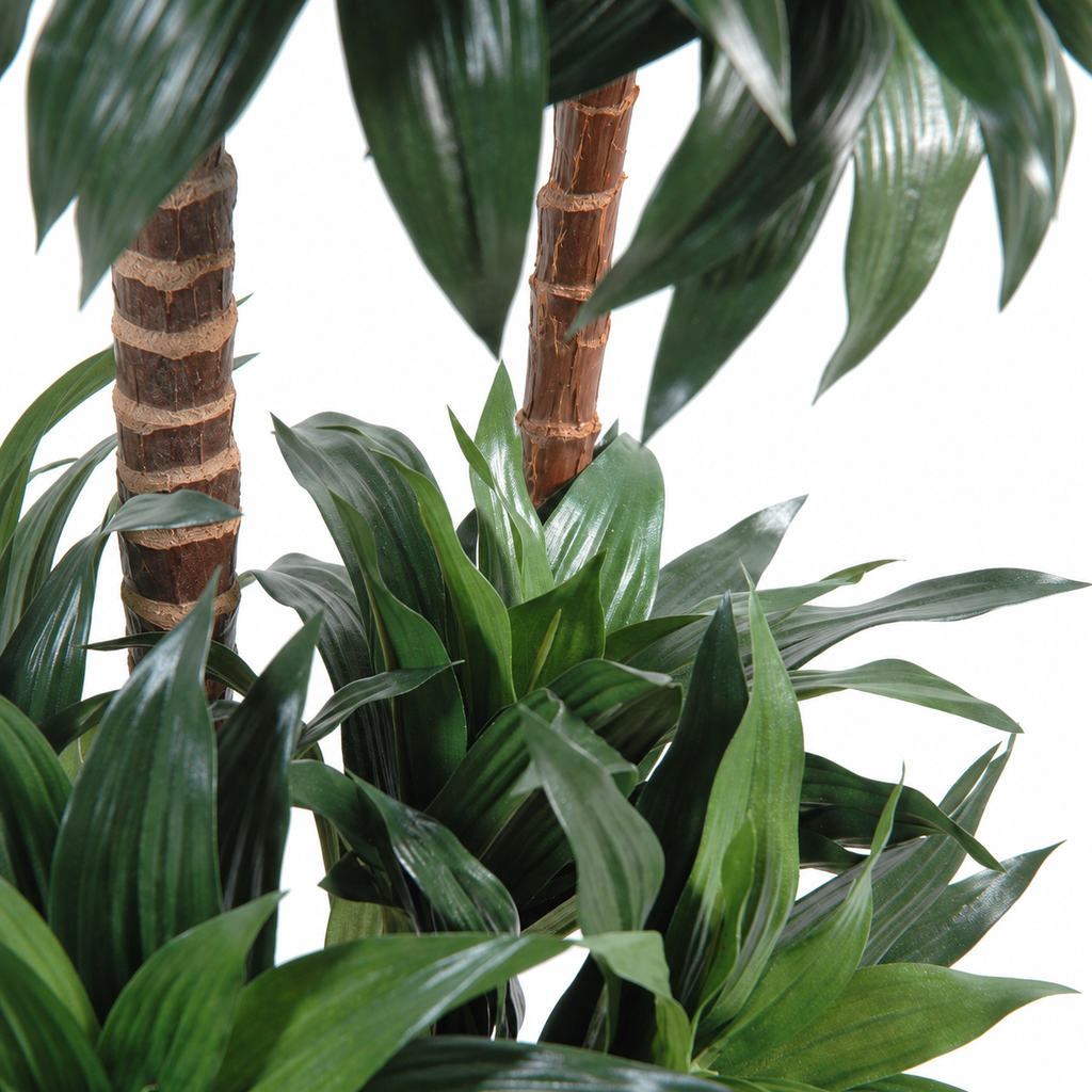 Dracaena Fragrans Artificiel 90 cm | Belle Verdure