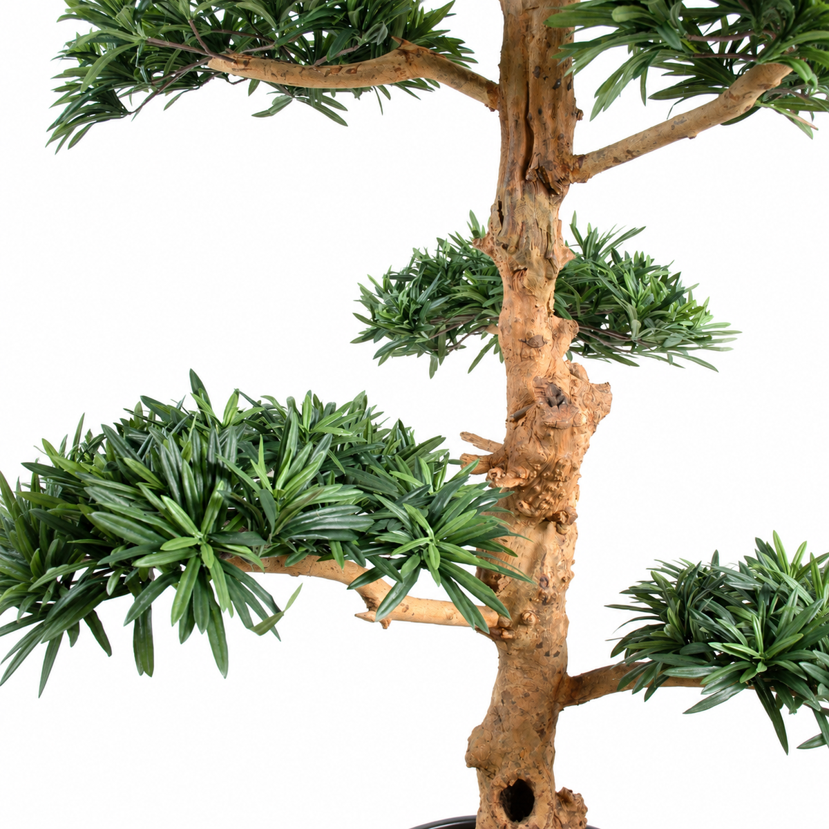 Bonsaï Podocarpus Artificiel Deluxe 180 cm | Belle Verdure