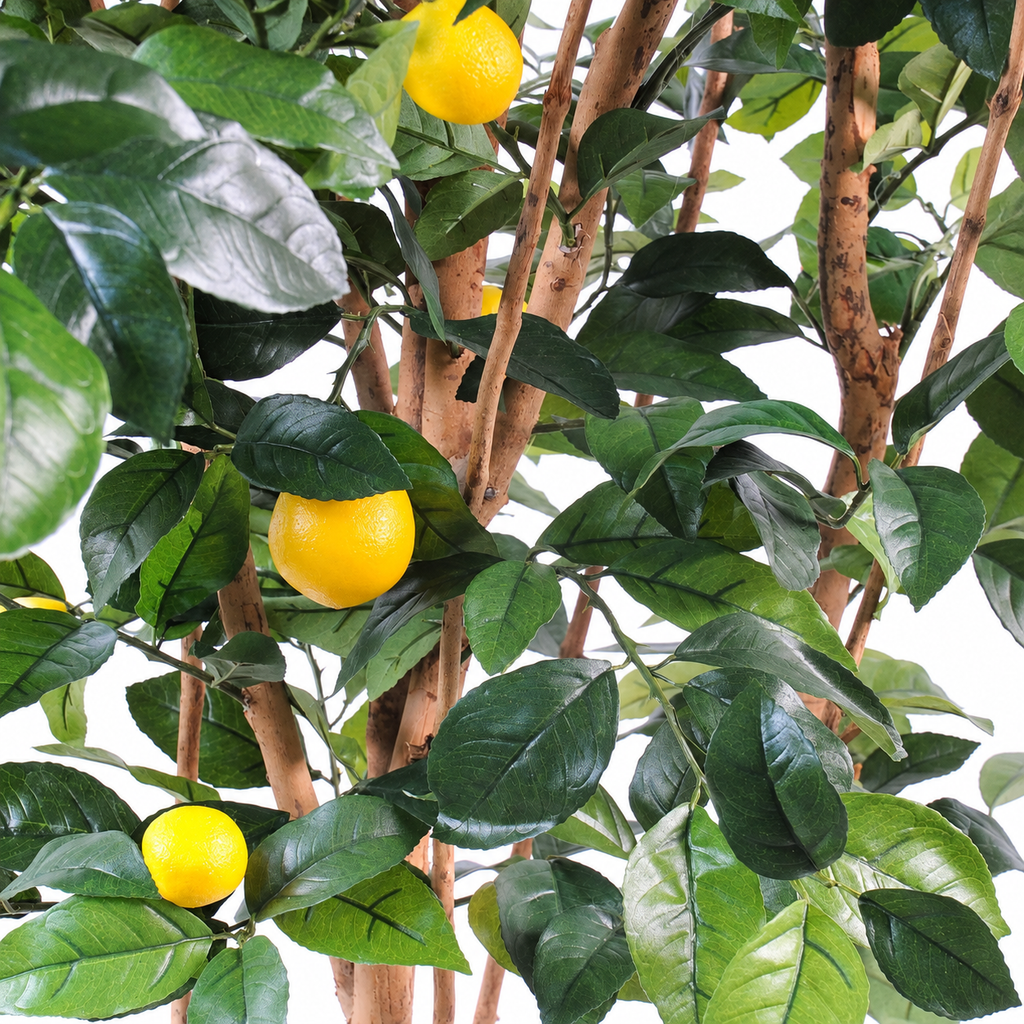 Citronnier Artificiel 150 cm | Belle Verdure