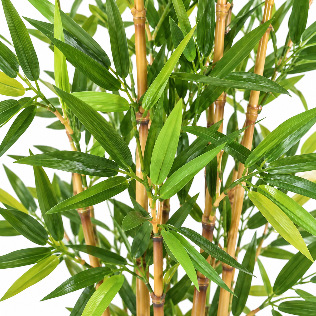 Bambou Artificiel Classique 60 cm | Belle Verdure