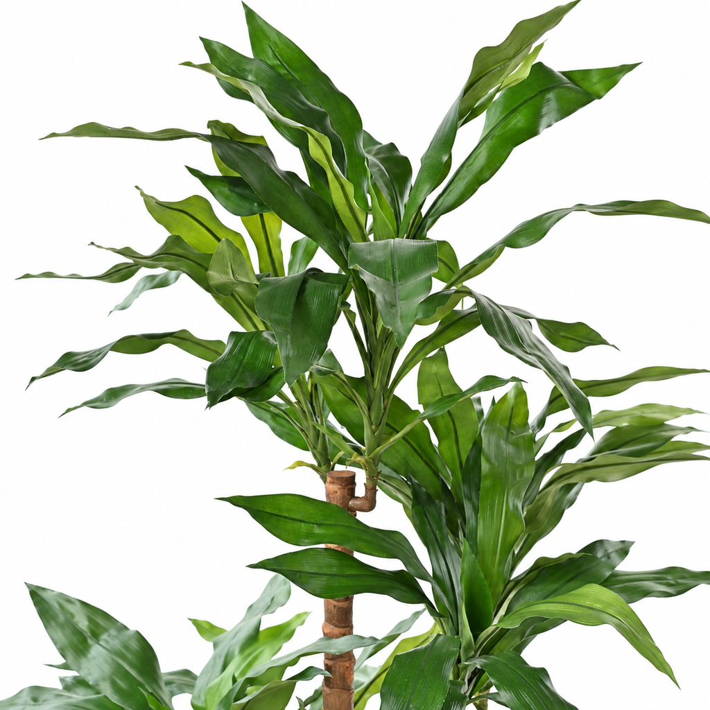 Dracaena Fragrans Artificiel Signature 145 cm | Belle Verdure