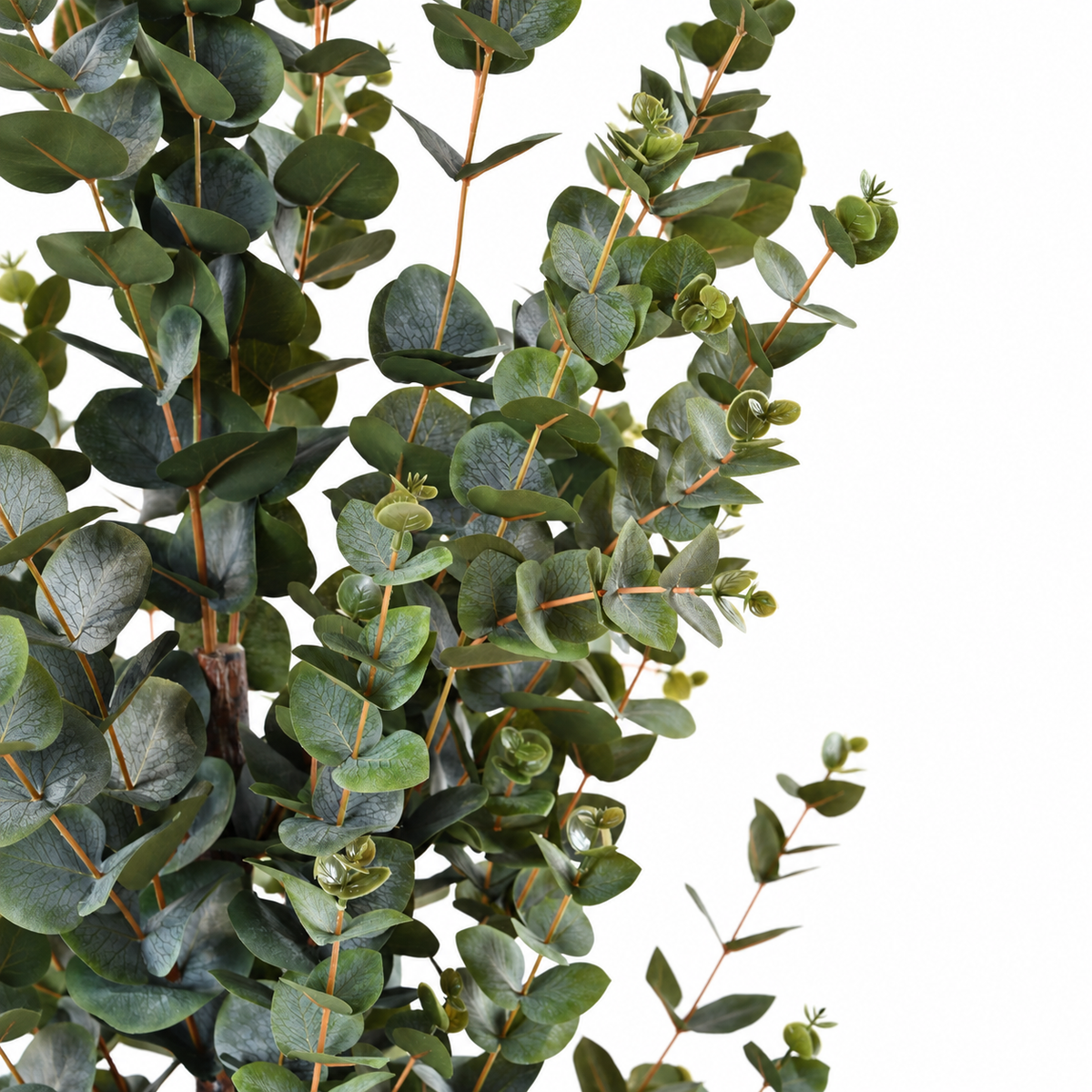 Eucalyptus Artificiel Provence 155 cm | Belle Verdure
