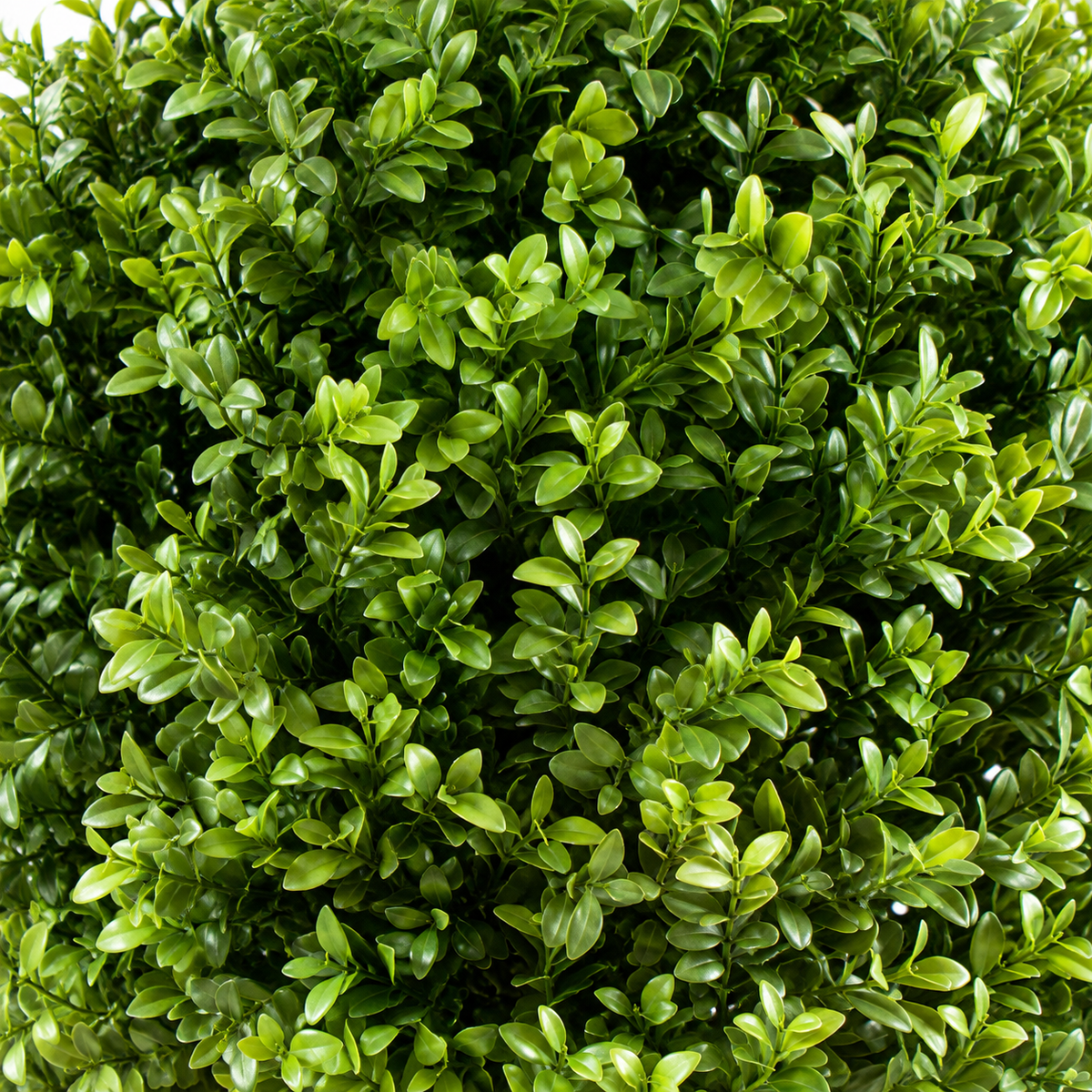 Buis Artificiel Tige Boule 140 cm | Belle Verdure